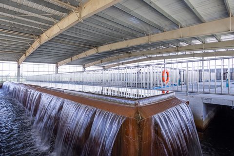 怎么保养多职能微型过滤机？